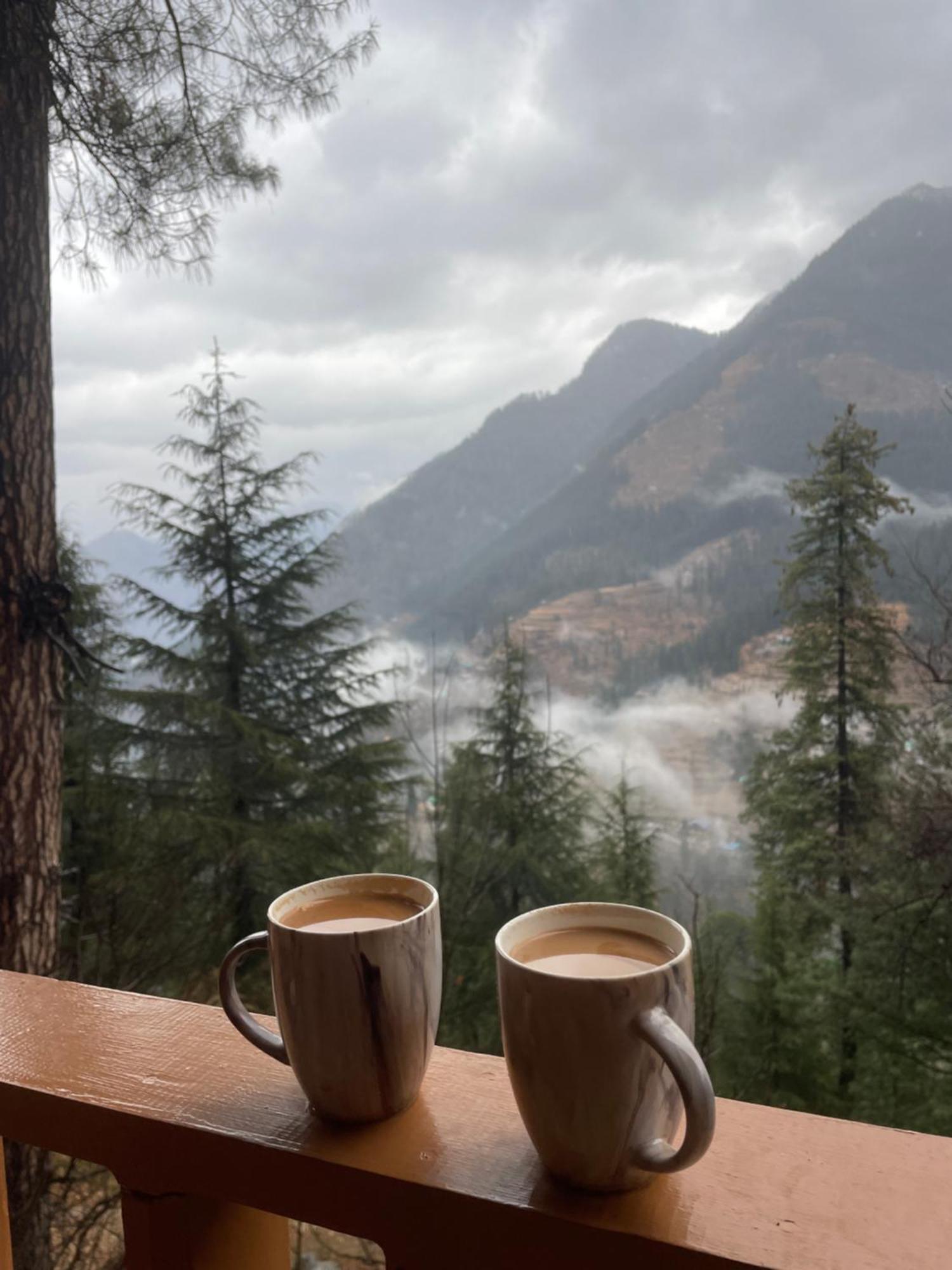 Avasaa Cafe And